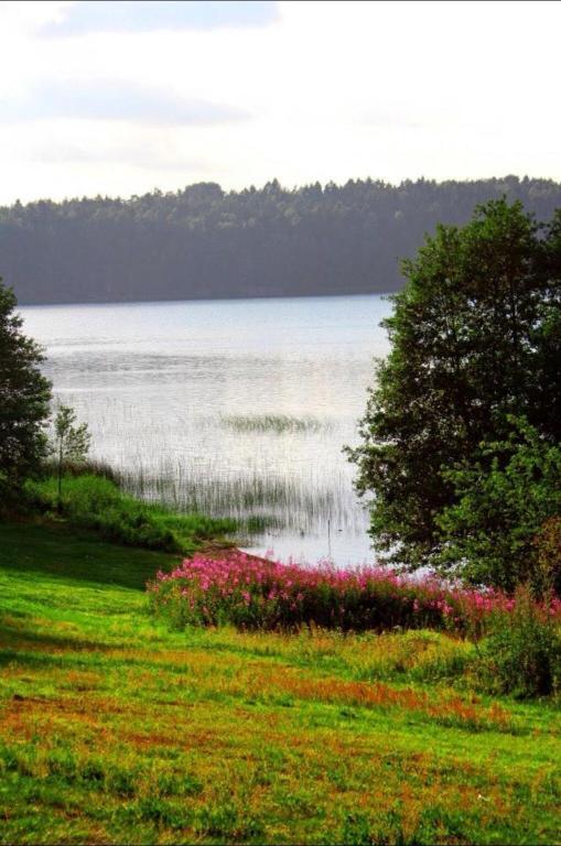 Sarpsborg Vandrerhjem Tuneheimen Exteriér fotografie